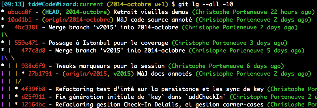 Exemple d‘affichage de git lg